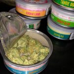 Wholesale Smart Cans Buds online in bulk packaging
