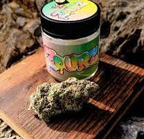 Whole Lotta Runtz Supplier