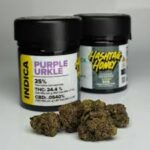 High-quality Purple Urkle cannabis buds for sale in Europe.