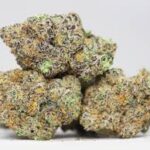Mendo Breath Weed premium buds Spain