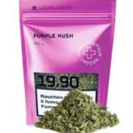 Purple Kush Shatter premium cannabis concentrate Europe