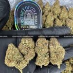 Bulk Exotic Wedding Cake Strain online delivery worldwide, Top-quality Exotic Wedding Cake Strain from trusted distributor