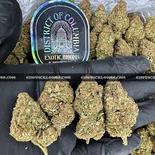 Exotic Wedding Cake Strain