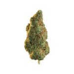 OG Kush Strain for sale online – premium cannabis flower