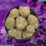 Purple Mimosa Strain