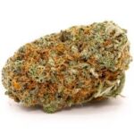 Durban Poison Strain