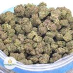 Dark Star Strain