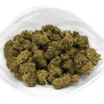 Bc Big Bud
